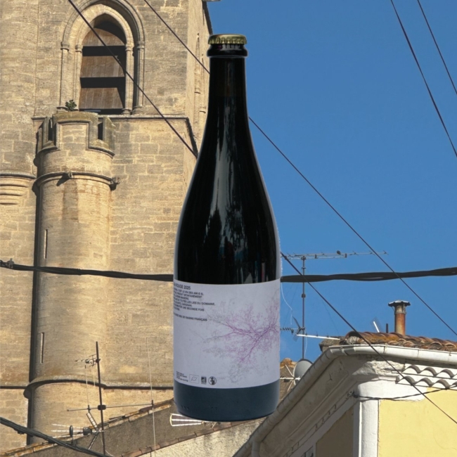 VINO CASA ROUGE 2024