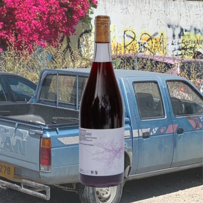 VINO CASA ROUGE 2025